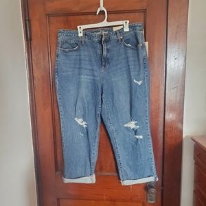 Universal Thread Vintage Straight Cropped Jeans